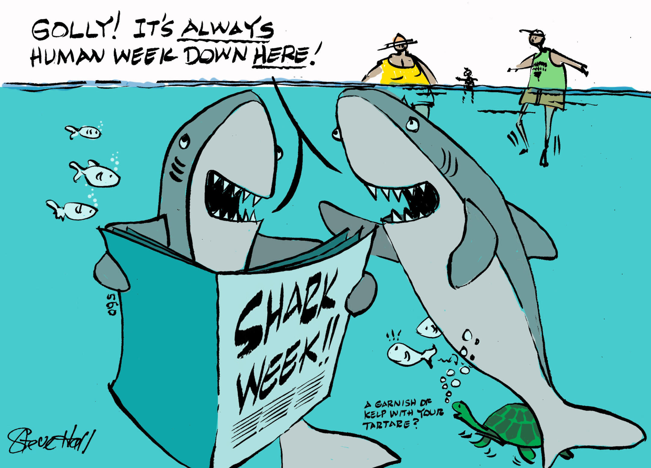 Editorial cartoons