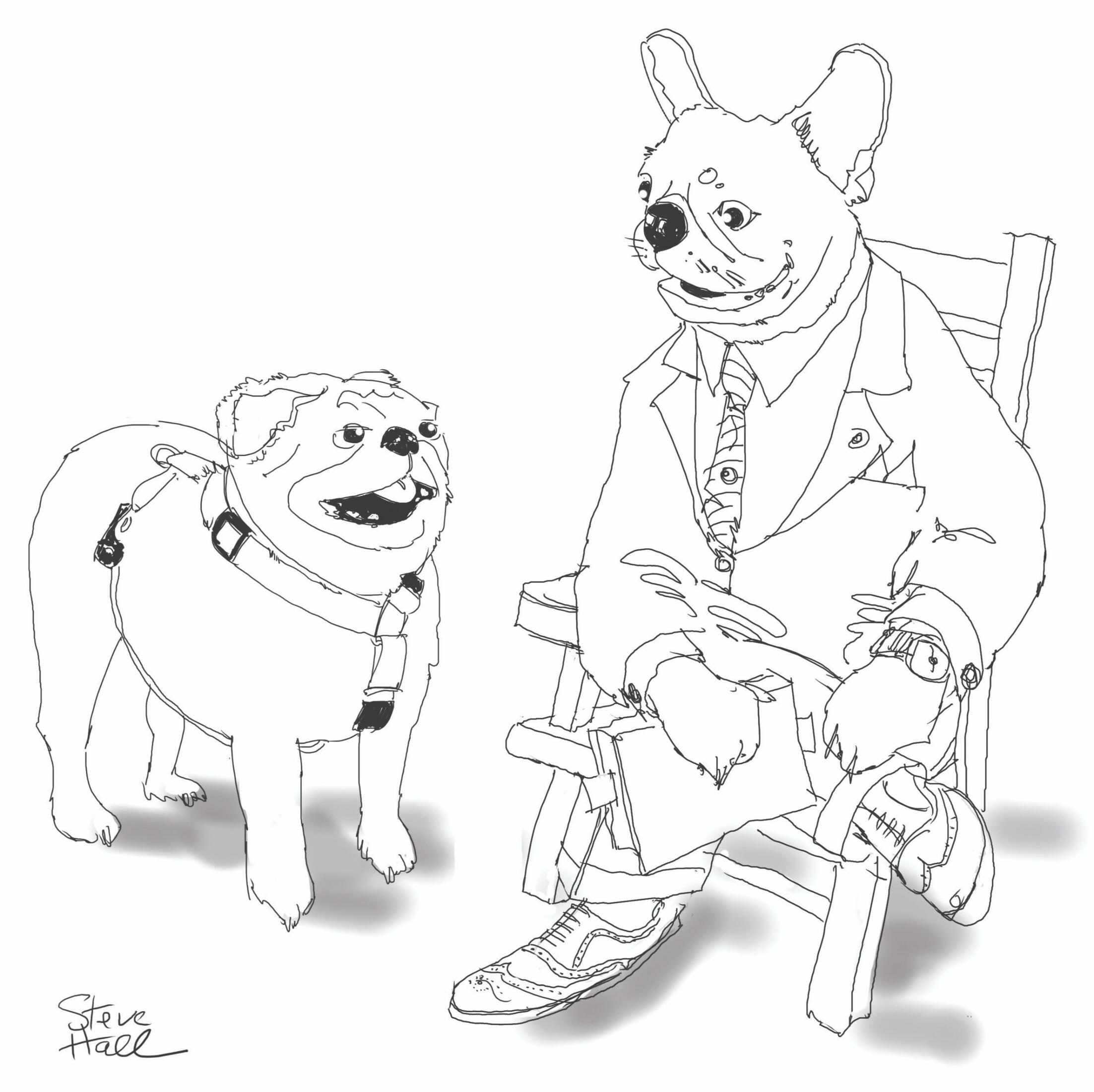 Grown up dogs doing what grown up dogs do. Tail waggin' howlers